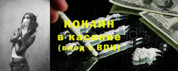 ешки Алексин