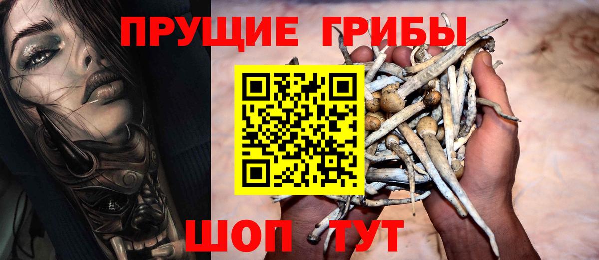 Куйбышев  Псилоцибиновые грибы ЛСД  Вход с VPN 